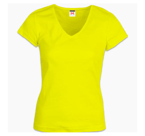 Cotton Best LV2000 | Ladies V-neck Shirt