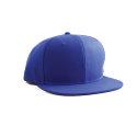 Flat Brim Snap Back Hat | WS 6340