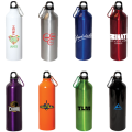 Water Bottle with Carabiner | DW 8007